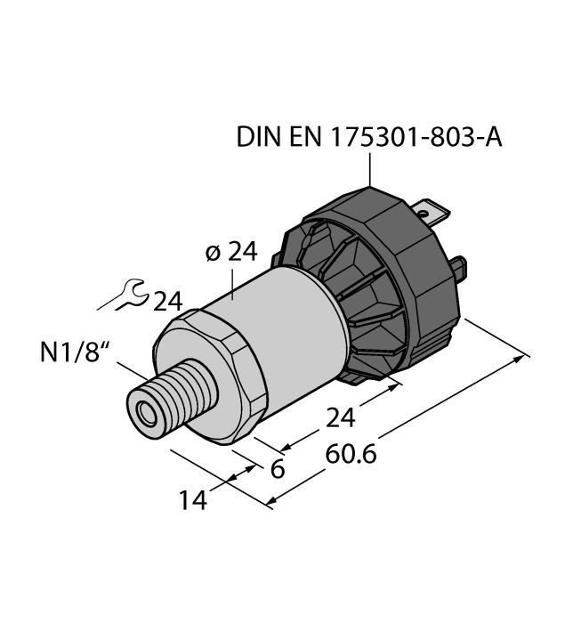 PT200PSIG-1014-I2-DA91/X
