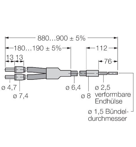 BP13P