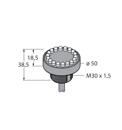 K50LDGRYP
