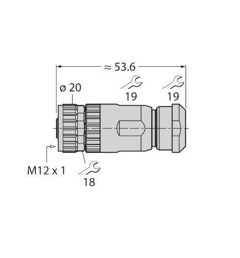 CMBD8181-0